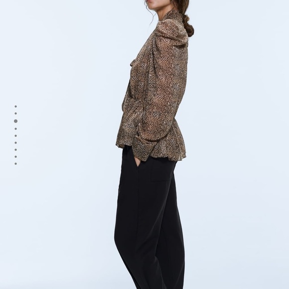 Zara leopard sheer blouse. Xs - Picture 8 of 9